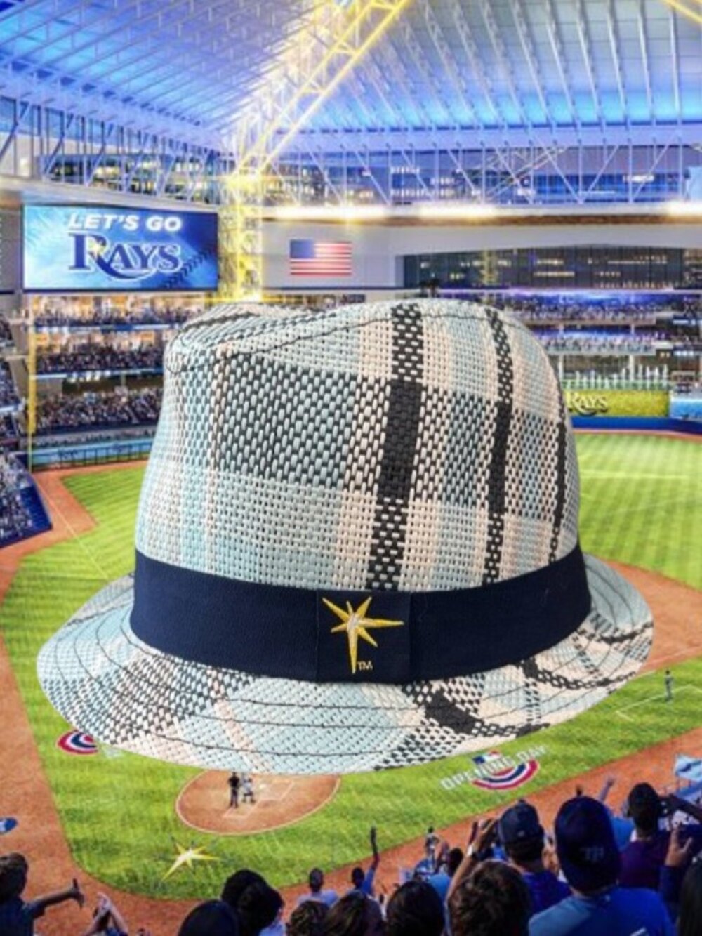 Tampa Bay Rays MLB Tropicana Field Blue White Brown Knit Adult Size Fedora Hat